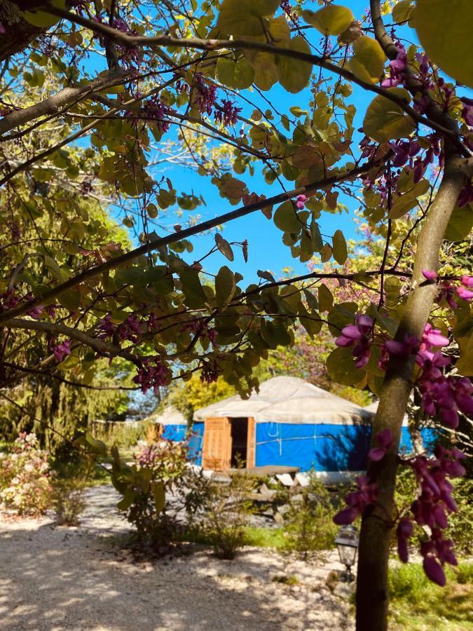 Les Yourtes Du Bearn - Domaine Des Deux Clos Bed & Breakfast Pontiacq-Viellepinte Exterior photo